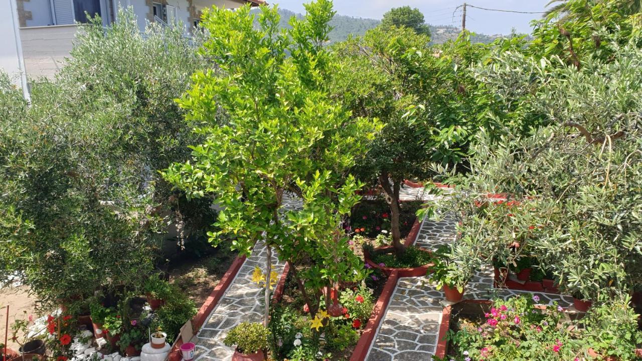 סארטי Villa Irida מראה חיצוני תמונה